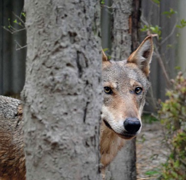 Calendario-Centro-2016