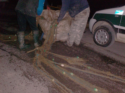 Intervento della Polizia provinciale e della Polizia municipale Alto Ferrarese in territorio di Bondeno