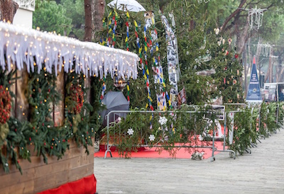 Inaugurato ieri il Giardino artistico degli Alberi di Natale a MiMa On Ice Inaugurato ieri il Giardino artistico degli Alberi di Natale a MiMa On Ice