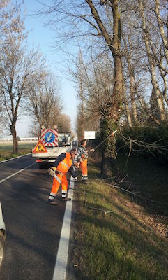 Modena, potature su Sp 413 tra Lesignana e Appalto Modena sp 413 potature