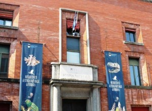 Museo civico di Storia Naturale