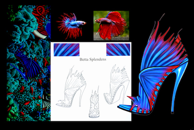 Un Talento per la Scarpa