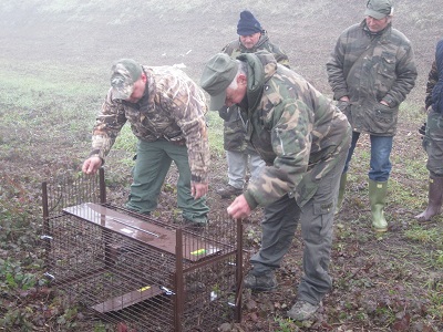 Modena, al via il piano contro le tane di istrici e tassi sui fiumi Istrici light