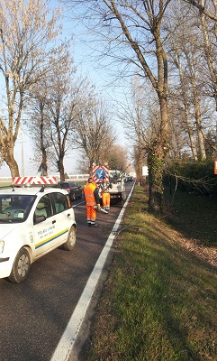 Modena sp 413 potature