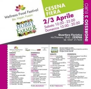 Wellness Food Festival