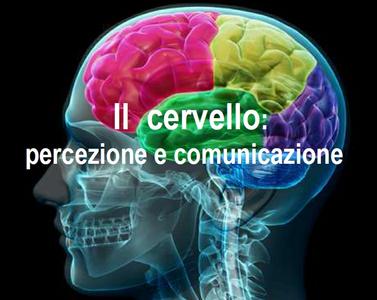 Il cervello e i suoi meccanismi di percezione e comunicazione spiegati agli studenti Il cervello e i suoi meccanismi di percezione e comunicazione spiegati agli studenti