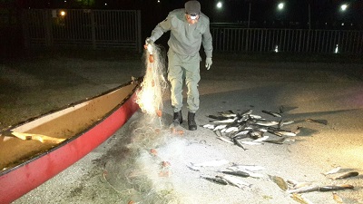 polizia provinciale contro pesca di frondo a Comacchio