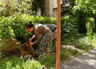A Modena il parco di via Gerosa intitolato alle vittime di Utoya capriolo
