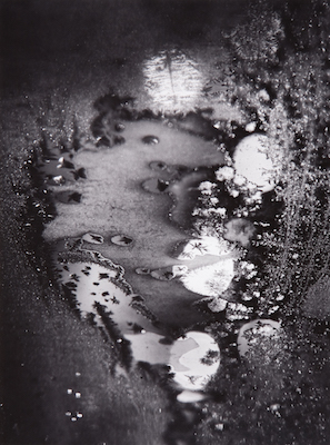 IMG_8464 White m 3351