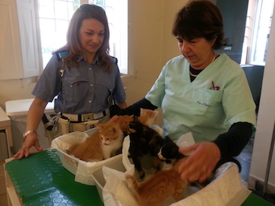 micini salvati a Modena