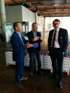 Ciliegie Vignola incontro 10-6