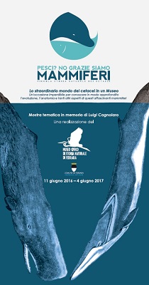 mostra-cetacei