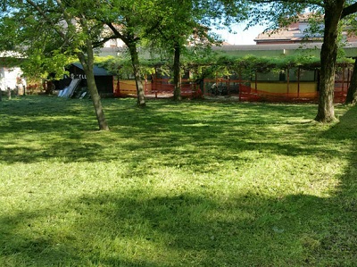 sgombero-ex-nido-turrini