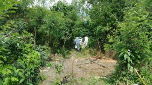 sgombero-lungoreno-7