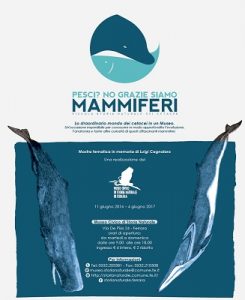 pesci-no-grazie-locandina