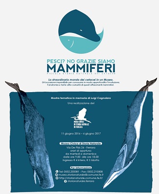 Ferrara, ‘Pesci? No, grazie, siamo Mammiferi’ pesci-no-grazie-locandina