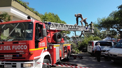Rimozione pino nero ai Giardini Montanari