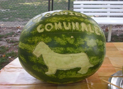 'Cocomerata di Ferragosto e di solidarietà' al canile comunale di Ferrara