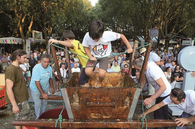 pigiatori - Festa del contadino