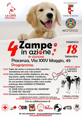 Quattro zampe in azione