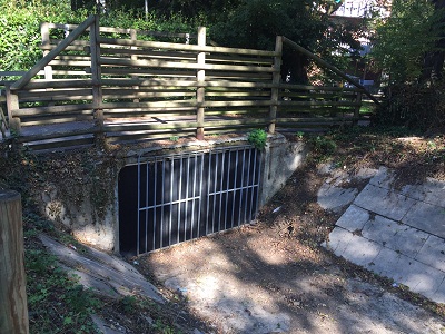 Parma, Conclusi gli interventi anti miasmi sul canale Maggiore img_1054