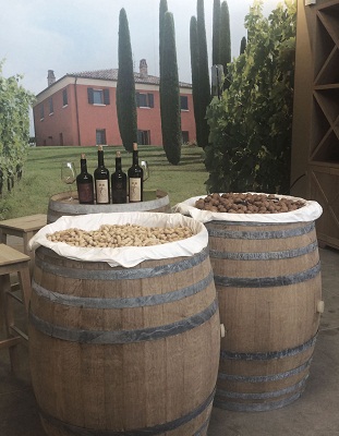 Domenica 9 ottobre Festa del vino con ‘Podere Palazzo’ palazzo-sfondo