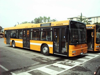 bus