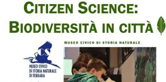 citizenscience-biodiversita-in-citta