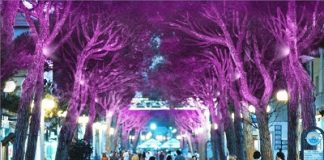 illuminazione-viale-ceccarini