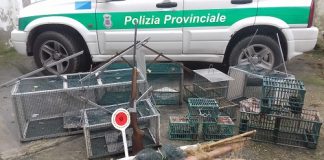 Provincia di Rimini: Intervento a Riccione della Polizia Provinciale 20161125_130344