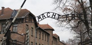 Ferrara, Viaggi della Memoria per non dimenticare il Novecento viaggi-della-memoria_1