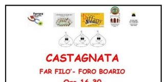 castagnata-di-quartiere-a-cura-di-farfilo-5nov2016