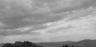 Finissage di “Biomorfismi” – Domenica 6 novembre Palazzo del Ridotto di Cesena il-respiro-dei-luoghi