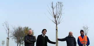 A Rimini e Riccione la prima piantumazione del Green Booking giornata-dellalbero