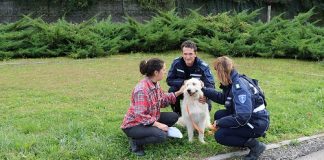 Terremoto: rientrano da Montegallo gli operatori della Polizia municipale volontari di Rimini polizia-municipale-2