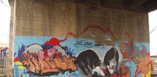 Modena: Weekend alla Poletti tra Street Art, poesia e acquarelli street-art