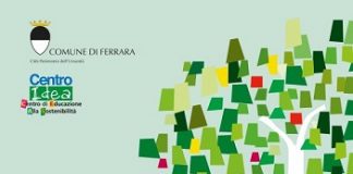 un-albero-per-ridurre-la-co2-locandina