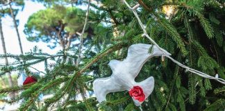 giardino-degli-alberi-di-natale