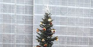 Natale in centro a Ferrara: gli appuntamenti del 3 e 4 dicembre per piccoli e grandi albero-natale-ferrara-2016