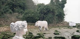 “Versus” alla Civica di Modena, dialogo tra curatore ed emergenti Rachele Maistrello Rachele Maistrello -1986- The island- Galleria Civica di Modena- nuova acquisizione