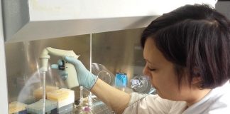 UniFE e Fondazione A.C.A.RE.F: entra nel vivo la ricerca sull’atassia all’Università di Ferrara Dott.ssa Francesca Salvatori 7ok