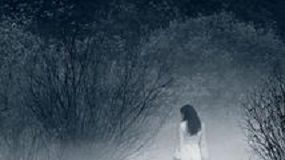 La giostra delle memorie