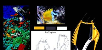 Lavoro Carlotta Camporese