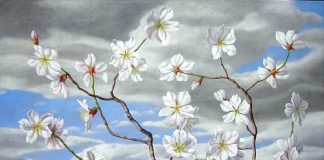 A Cesena “Dalla natura al paesaggio”: per la prima volta in mostra le vedute di Ugo Pasini 1 Fiori nel paesaggio