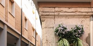 Contaminazioni botaniche