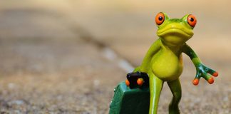 Week end low cost in Emilia Romagna con i codici di sconto viaggio low cost