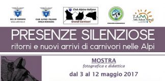 A Ferrara grandi carnivori: mostra di fotografie, schede e mappe locandina-mostrafe_presenzesilenziose