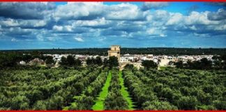 Paesaggio rurale e antichi giochi pasquali al Maf maf-mostra-davideocchilupo-e-antoniettastasi-oltre-al-mare-manciate-di-secoli-rit