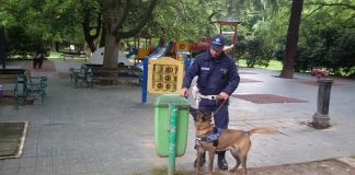Modena: controlli con Axel in centro e nei parchi, ma niente droga 20170511_094209_resized