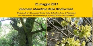 Pomeriggio al Centro Visite “Bosco di Porporana” per festeggiare insieme la Giornata mondiale della Biodiversità Giornata Mondiale della Biodiversità